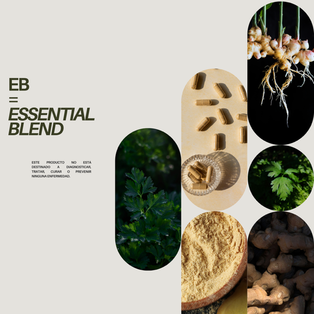 EB-01 para ella